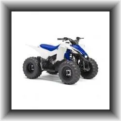 Mini Quad kaufen 