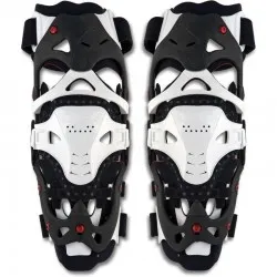 Ufo Morpho